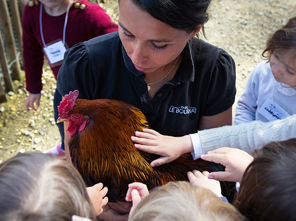 Enfants et Animaux