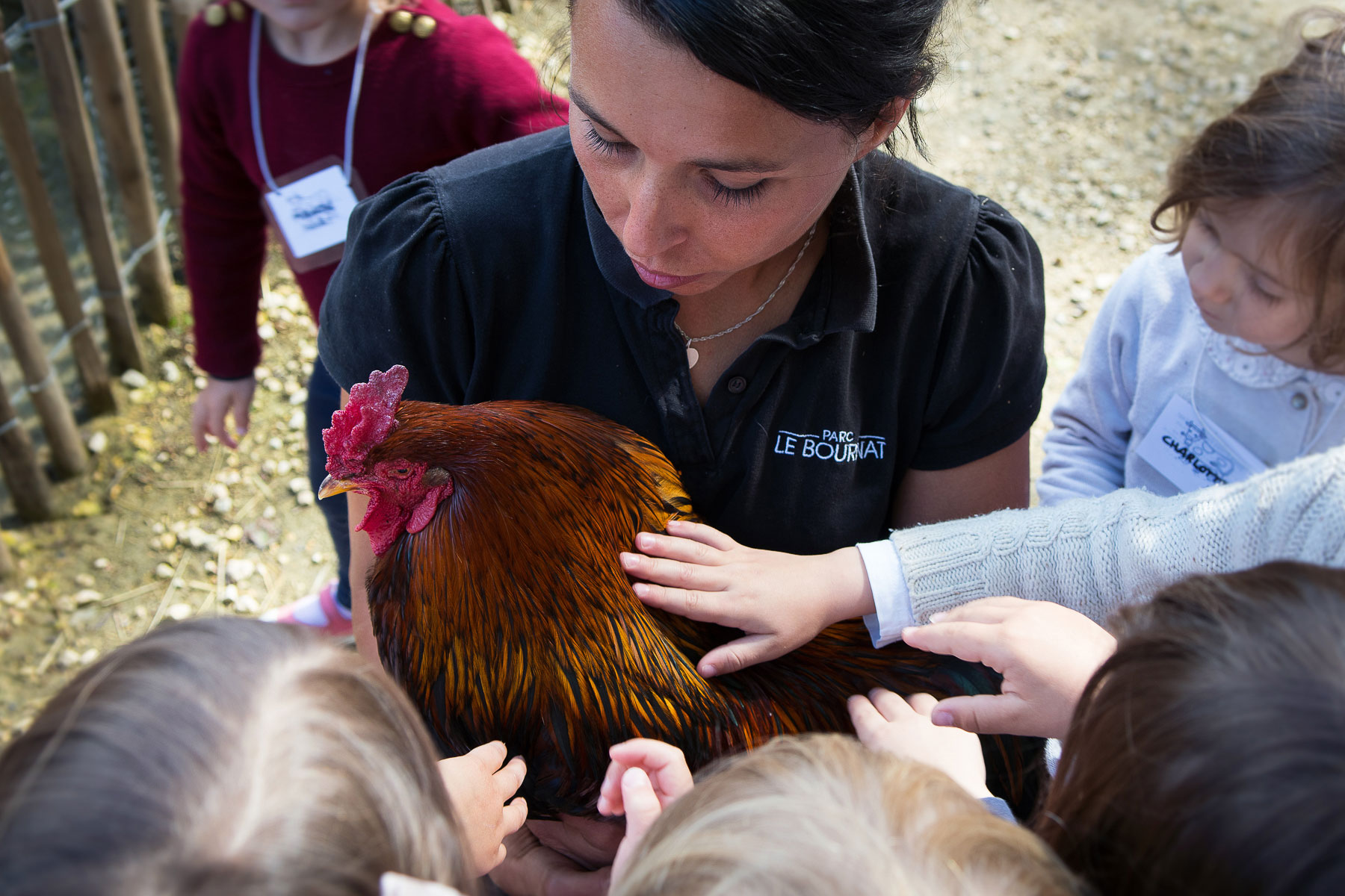 atelier animaux de la ferme