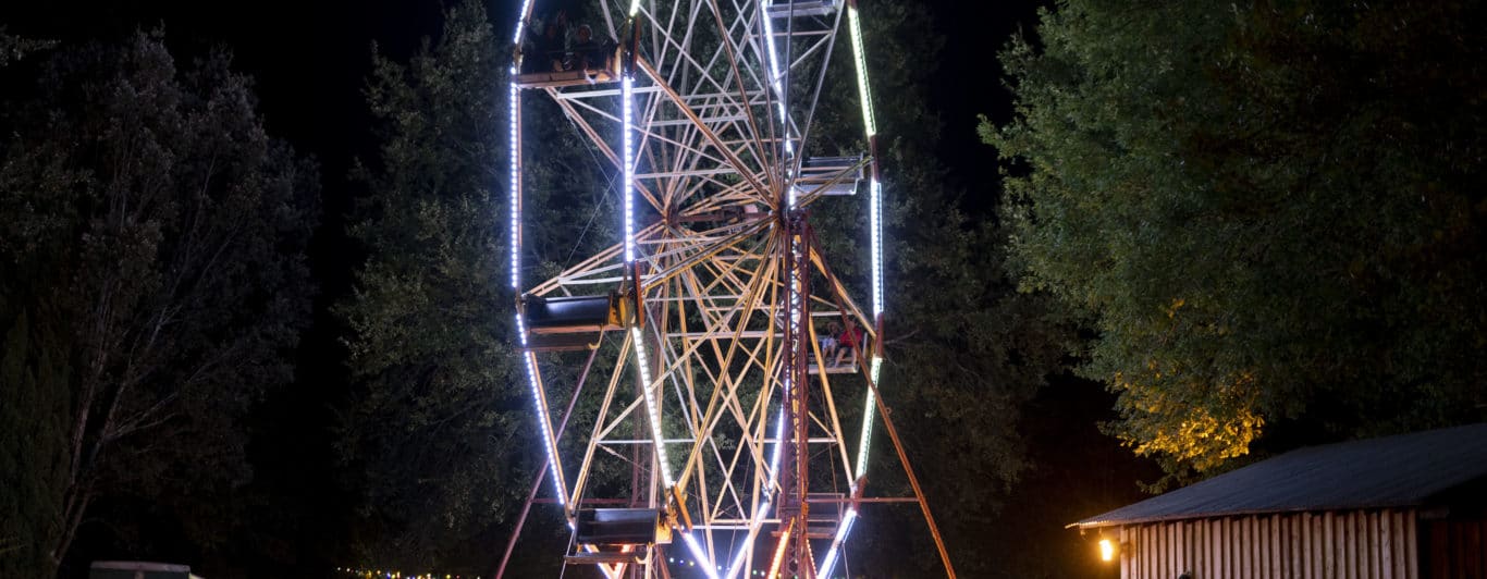 Grande roue nocturne