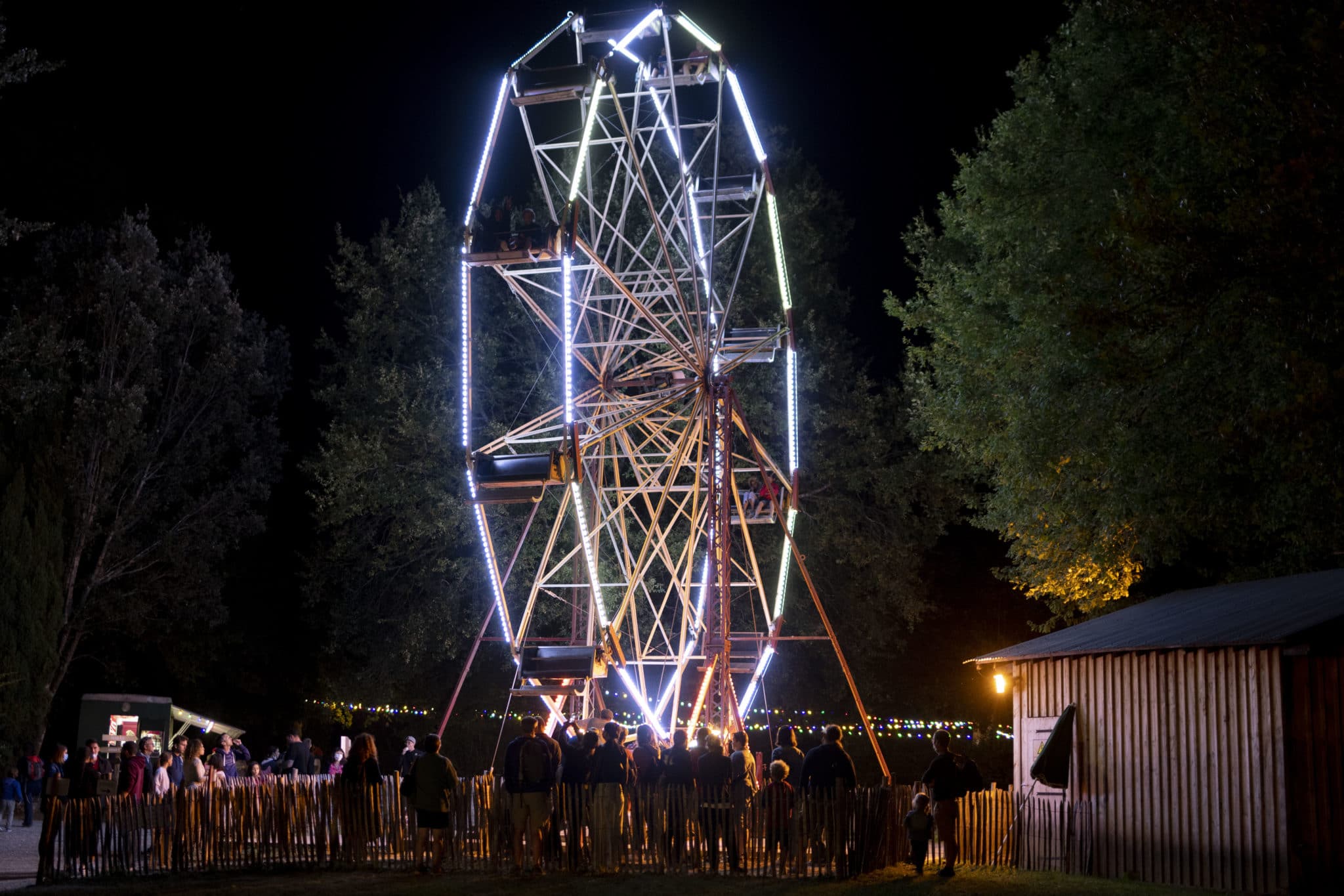 Grande roue nocturne