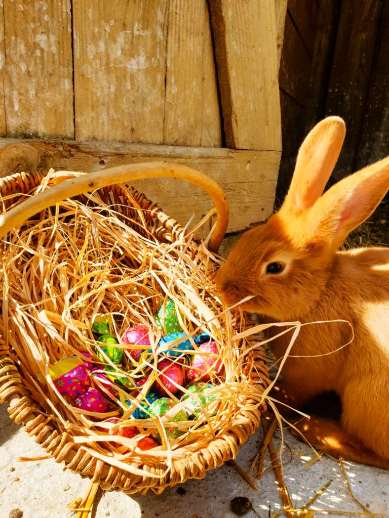Pâques au Parc du Bournat
